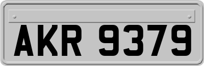 AKR9379