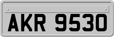 AKR9530