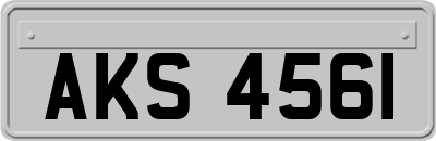 AKS4561