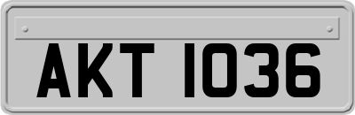 AKT1036