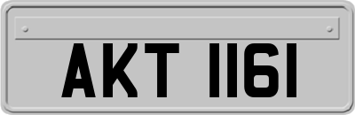 AKT1161