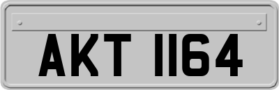 AKT1164