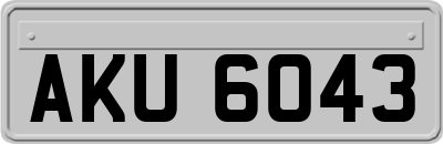 AKU6043