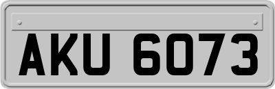 AKU6073