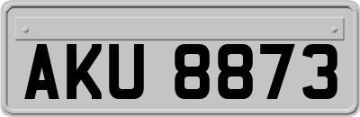 AKU8873