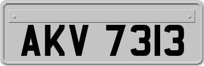 AKV7313
