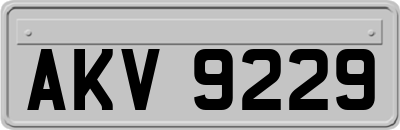 AKV9229