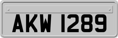 AKW1289