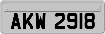 AKW2918