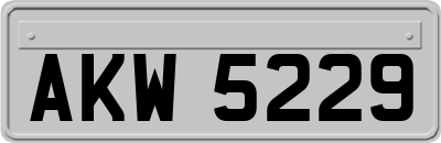 AKW5229