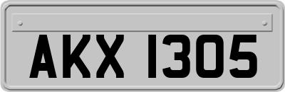 AKX1305