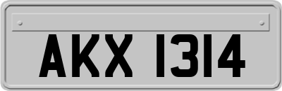 AKX1314
