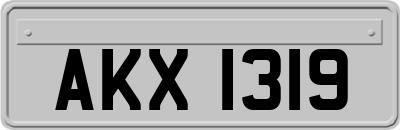 AKX1319