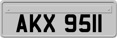 AKX9511