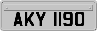 AKY1190