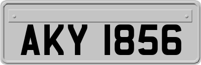 AKY1856