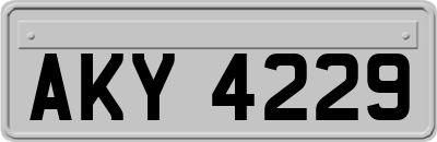 AKY4229