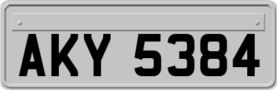 AKY5384