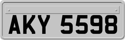 AKY5598