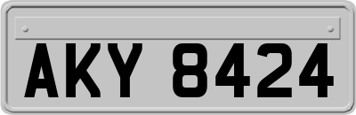 AKY8424