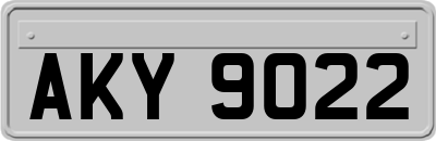 AKY9022