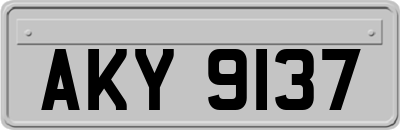 AKY9137