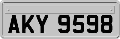 AKY9598