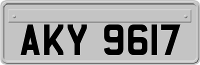 AKY9617