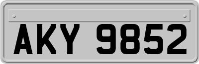 AKY9852