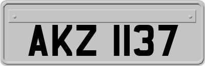 AKZ1137
