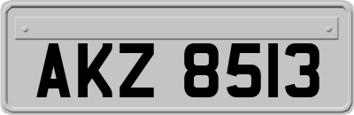 AKZ8513