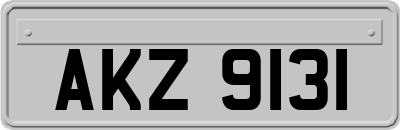 AKZ9131