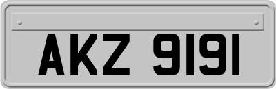 AKZ9191