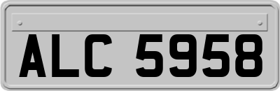 ALC5958