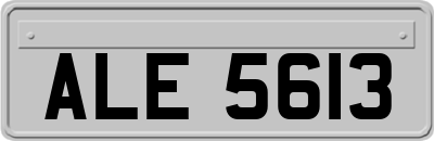ALE5613
