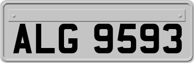 ALG9593