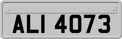 ALI4073