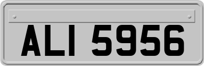 ALI5956