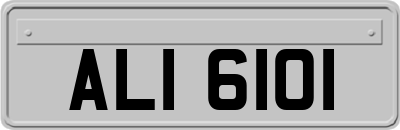 ALI6101