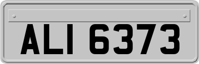 ALI6373