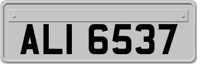 ALI6537