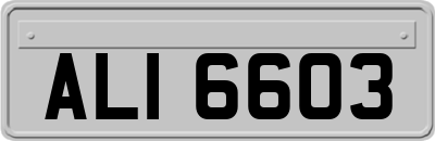 ALI6603