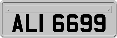 ALI6699