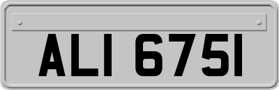 ALI6751