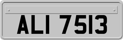 ALI7513