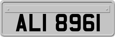 ALI8961