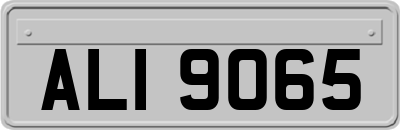 ALI9065