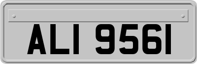 ALI9561