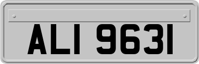 ALI9631