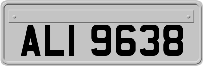 ALI9638